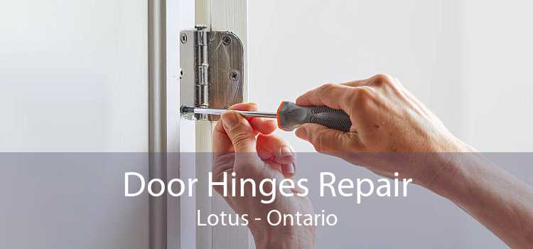 Door Hinges Repair Lotus - Ontario