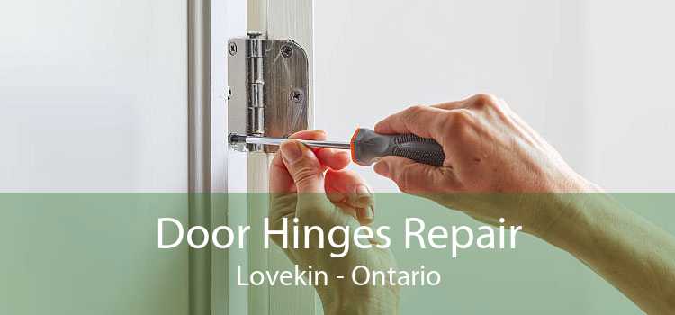 Door Hinges Repair Lovekin - Ontario