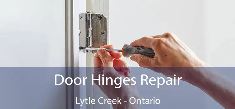 Door Hinges Repair Lytle Creek - Ontario
