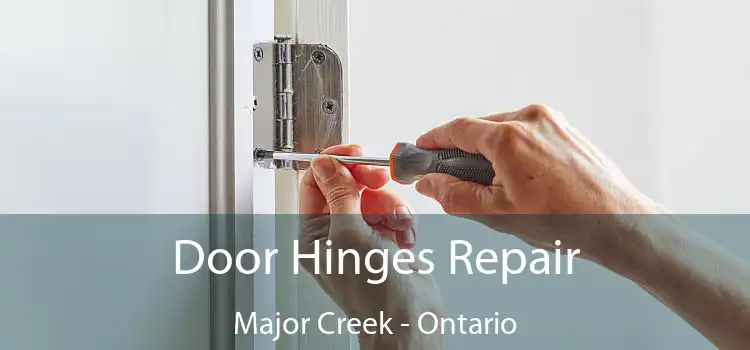 Door Hinges Repair Major Creek - Ontario