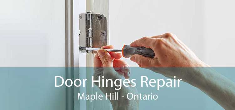 Door Hinges Repair Maple Hill - Ontario