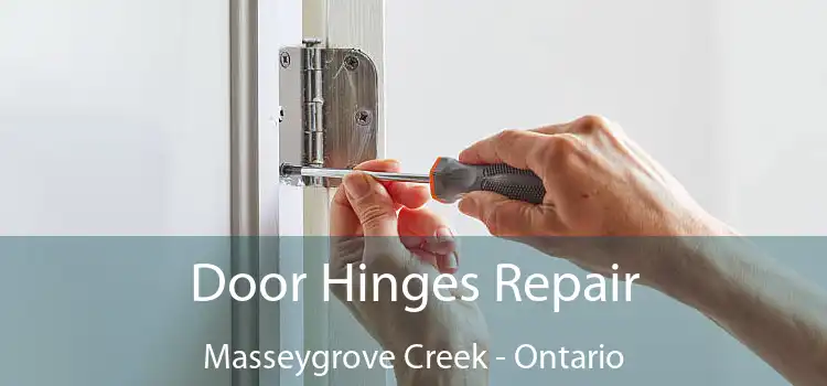 Door Hinges Repair Masseygrove Creek - Ontario