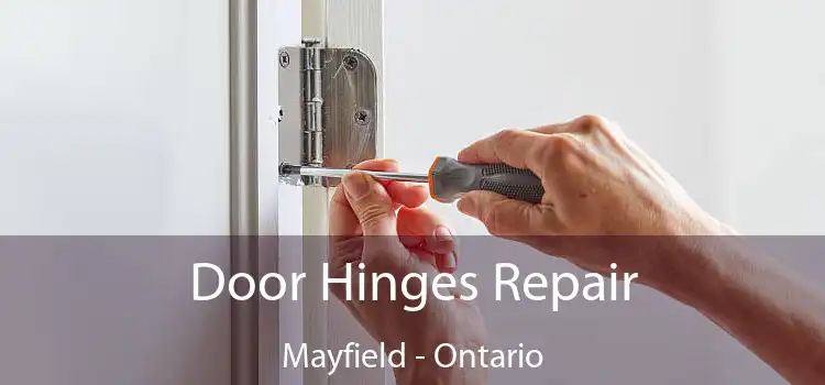 Door Hinges Repair Mayfield - Ontario