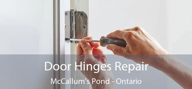 Door Hinges Repair McCallum's Pond - Ontario