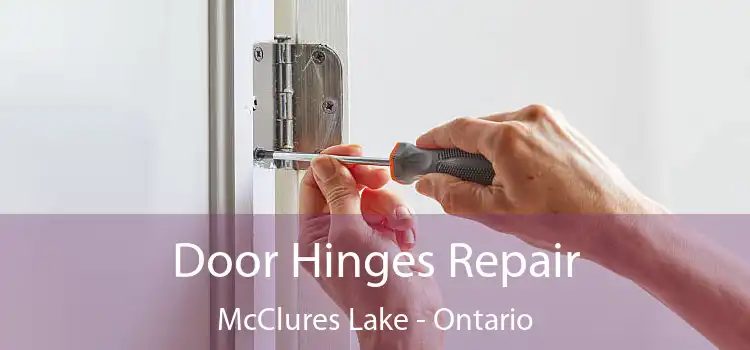 Door Hinges Repair McClures Lake - Ontario