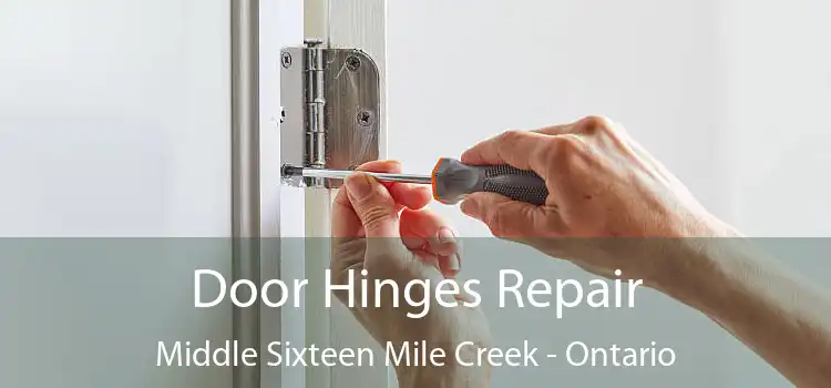 Door Hinges Repair Middle Sixteen Mile Creek - Ontario