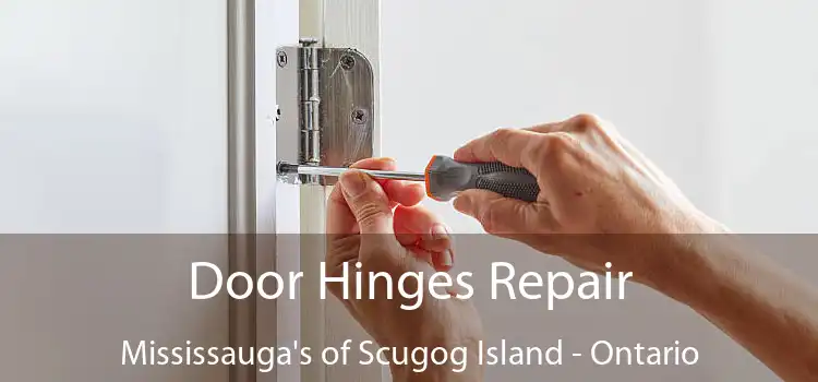 Door Hinges Repair Mississauga's of Scugog Island - Ontario