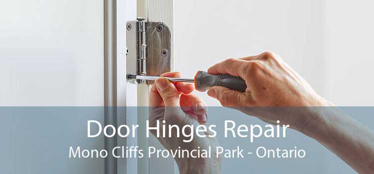 Door Hinges Repair Mono Cliffs Provincial Park - Ontario