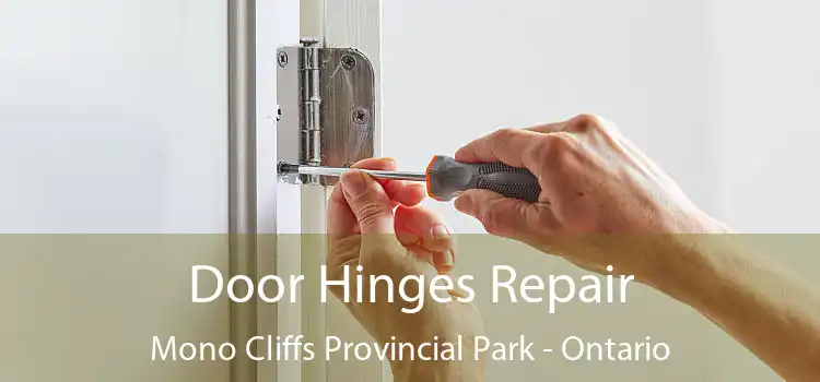 Door Hinges Repair Mono Cliffs Provincial Park - Ontario