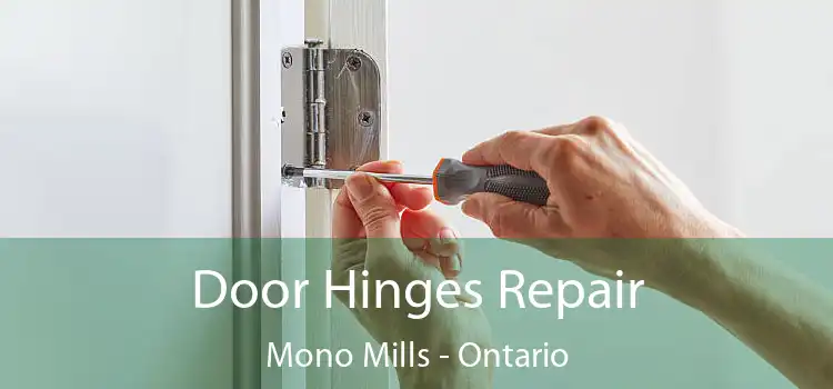 Door Hinges Repair Mono Mills - Ontario