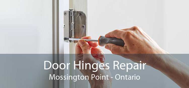 Door Hinges Repair Mossington Point - Ontario