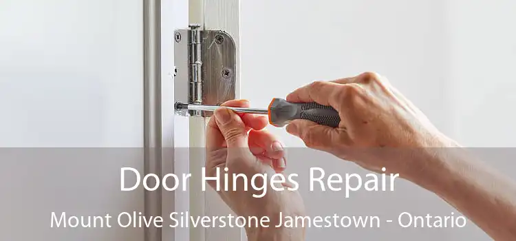 Door Hinges Repair Mount Olive Silverstone Jamestown - Ontario