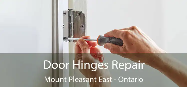 Door Hinges Repair Mount Pleasant East - Ontario