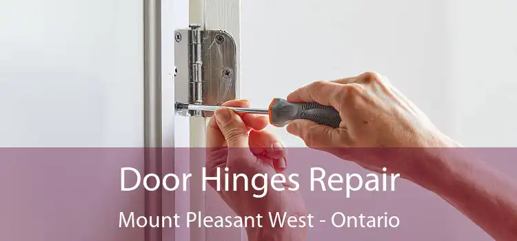 Door Hinges Repair Mount Pleasant West - Ontario