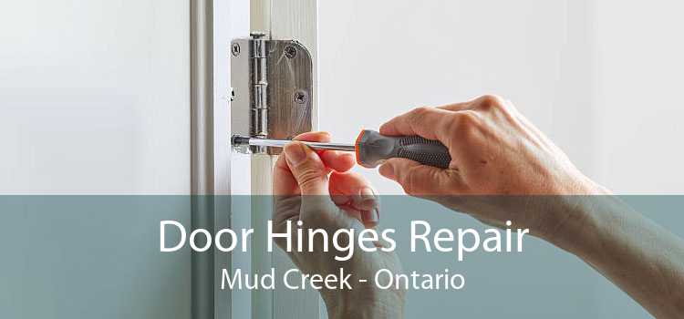Door Hinges Repair Mud Creek - Ontario