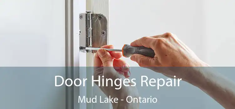 Door Hinges Repair Mud Lake - Ontario