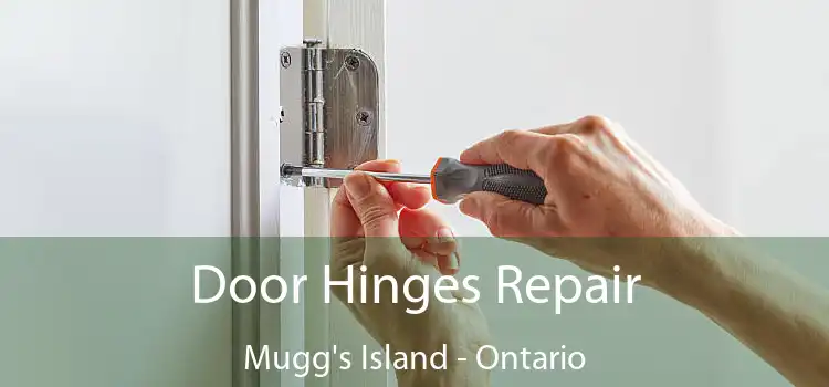 Door Hinges Repair Mugg's Island - Ontario