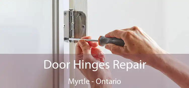 Door Hinges Repair Myrtle - Ontario