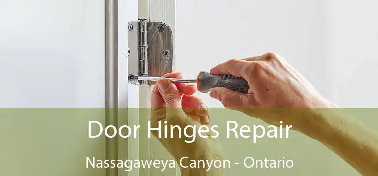 Door Hinges Repair Nassagaweya Canyon - Ontario