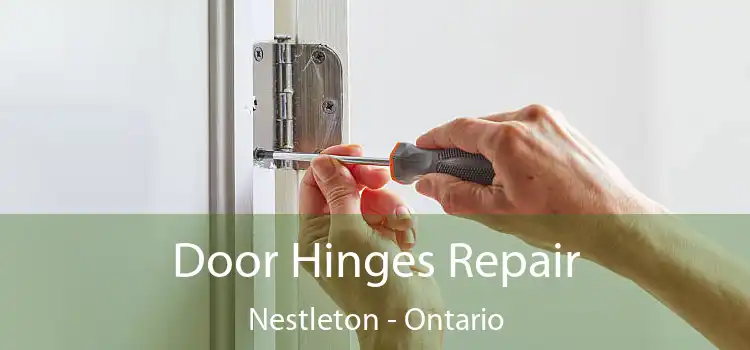 Door Hinges Repair Nestleton - Ontario