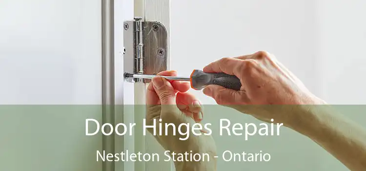 Door Hinges Repair Nestleton Station - Ontario