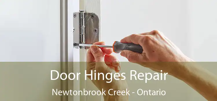 Door Hinges Repair Newtonbrook Creek - Ontario