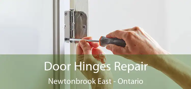 Door Hinges Repair Newtonbrook East - Ontario