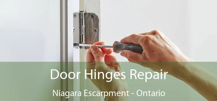 Door Hinges Repair Niagara Escarpment - Ontario