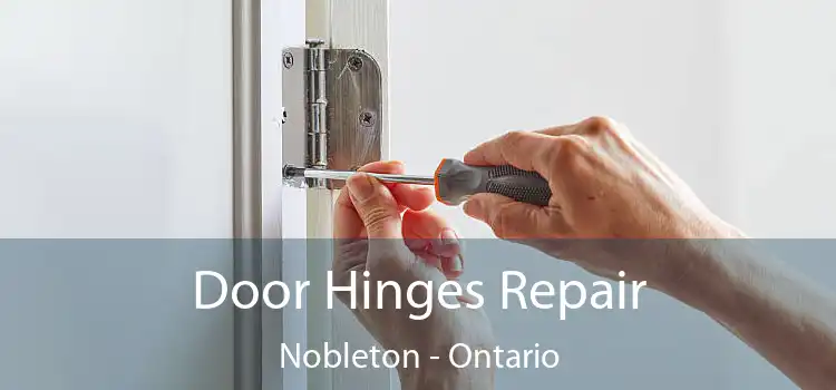 Door Hinges Repair Nobleton - Ontario