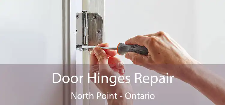 Door Hinges Repair North Point - Ontario
