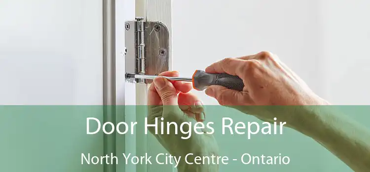 Door Hinges Repair North York City Centre - Ontario