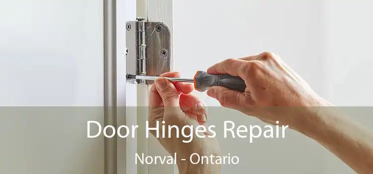 Door Hinges Repair Norval - Ontario
