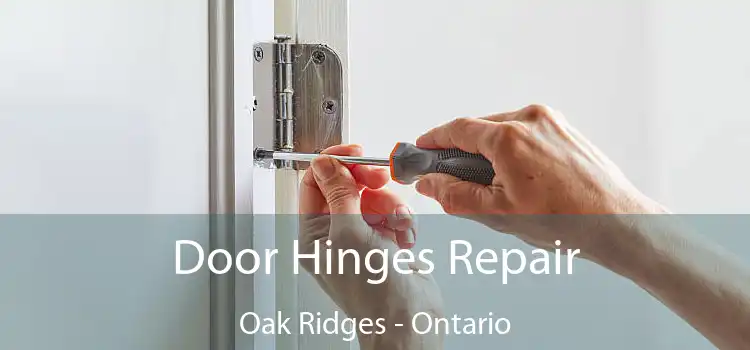 Door Hinges Repair Oak Ridges - Ontario