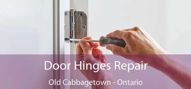 Door Hinges Repair Old Cabbagetown - Ontario