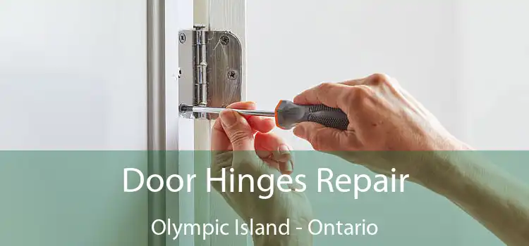Door Hinges Repair Olympic Island - Ontario