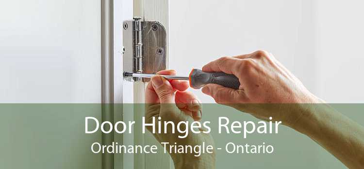 Door Hinges Repair Ordinance Triangle - Ontario