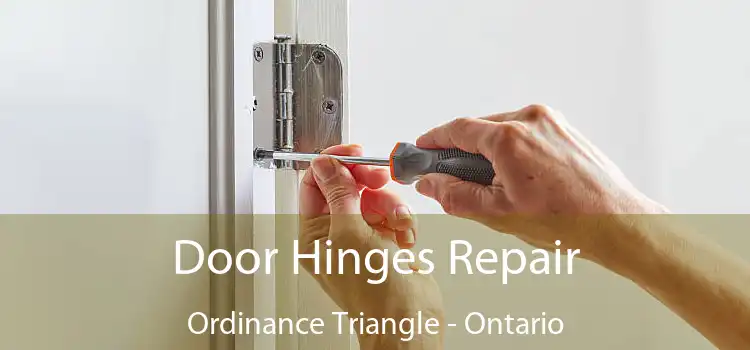 Door Hinges Repair Ordinance Triangle - Ontario