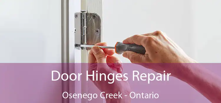 Door Hinges Repair Osenego Creek - Ontario