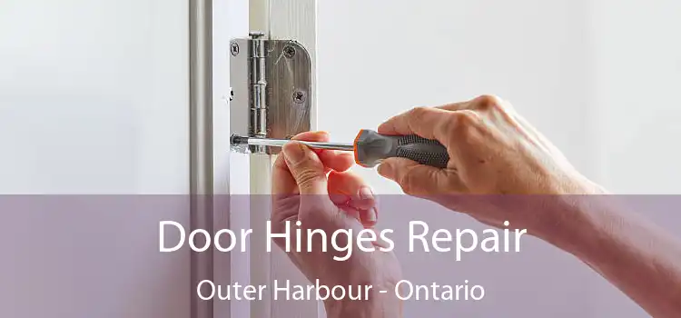 Door Hinges Repair Outer Harbour - Ontario