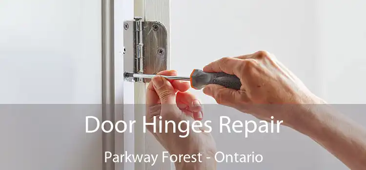 Door Hinges Repair Parkway Forest - Ontario