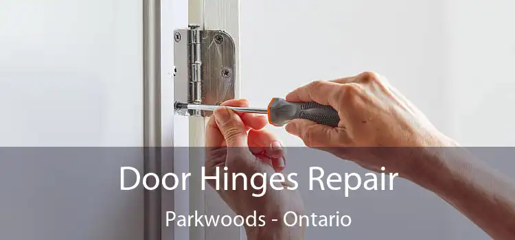 Door Hinges Repair Parkwoods - Ontario