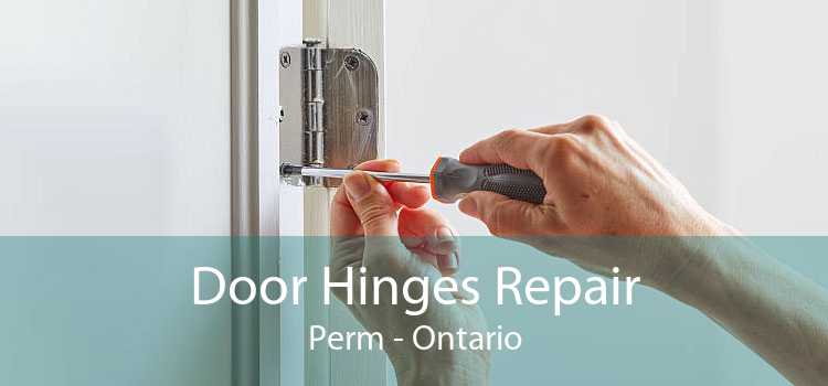 Door Hinges Repair Perm - Ontario
