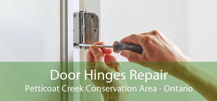 Door Hinges Repair Petticoat Creek Conservation Area - Ontario