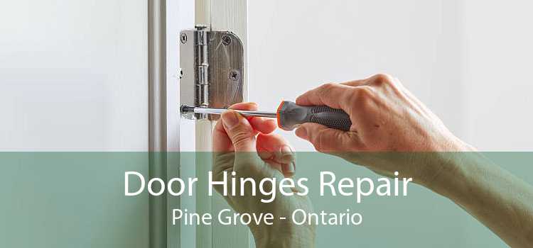 Door Hinges Repair Pine Grove - Ontario