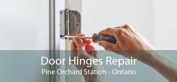 Door Hinges Repair Pine Orchard Station - Ontario