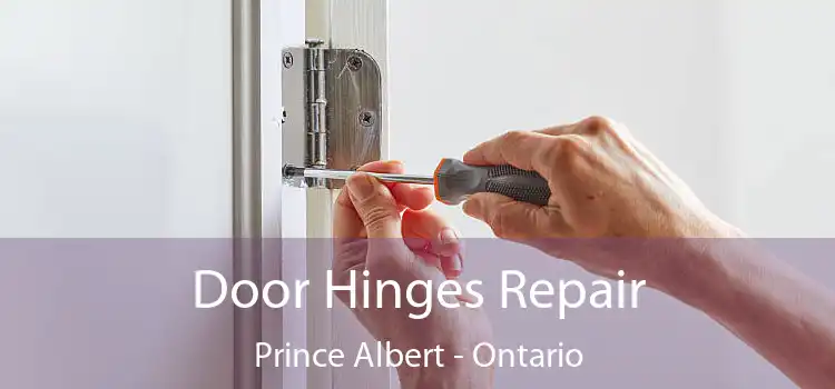 Door Hinges Repair Prince Albert - Ontario