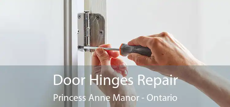 Door Hinges Repair Princess Anne Manor - Ontario