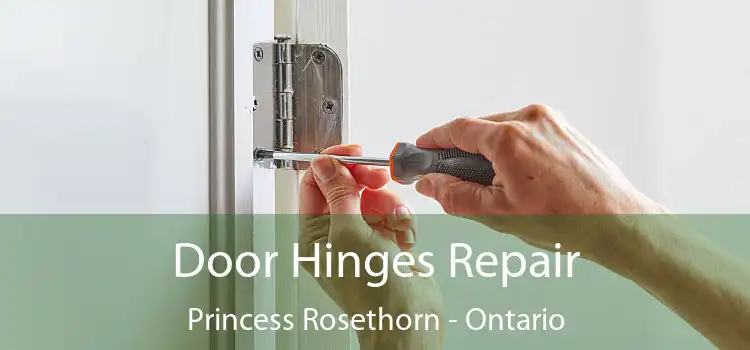 Door Hinges Repair Princess Rosethorn - Ontario