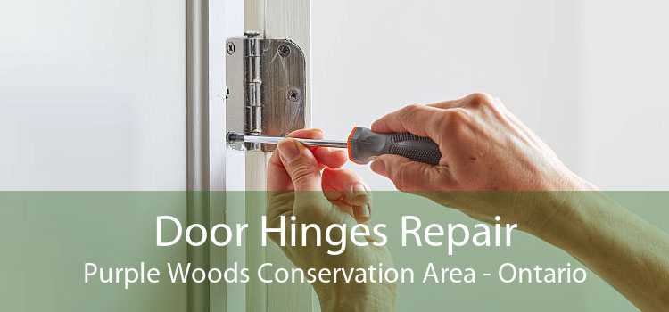 Door Hinges Repair Purple Woods Conservation Area - Ontario