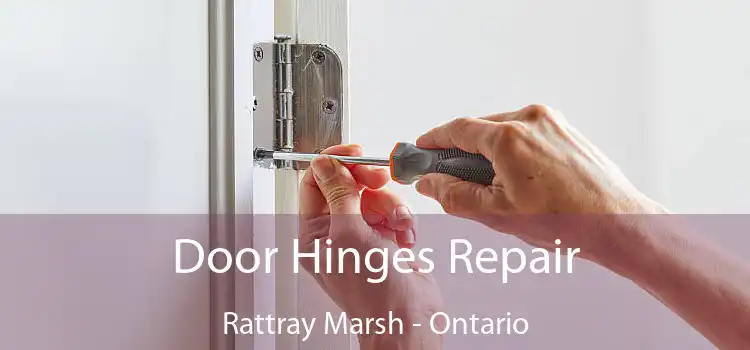 Door Hinges Repair Rattray Marsh - Ontario